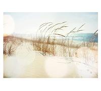 Papel Pintado Playa y Mar Efecto 3D Paisaje Dunas Mar Báltico - Incluye Pegamento - Fotomurales Pared Tejido No Tejido Decorativos Murales Fotográfico XXL Moderno Decoración de Paredes (368x254 cm)