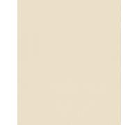 Papel Pintado Rasch Uni Monótono lisa Beige Wall Paper Color 517415