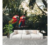 Papel Pintado Salón Dormitorio Paisaje de Loros Del Bosque - Fotomurales Pared Tejido No Tejido Decorativos Murales Naturaleza Fotográfico Moderno Decoración de Paredes (400x280 cm)