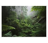 Papel Pintado Selva Bosque tropical Naturaleza Salón Dormitorio - Incluye Pegamento - Fotomurales Pared Tejido No Tejido Decorativos Murales Fotográfico Moderno Decoración de Paredes (368x254 cm)