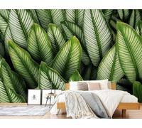 Papel Pintado Vegetación Hojas Verdes, 200x140cm Fotomurales Para Pared 3D,Papel Tapiz Pintado Decoración De Pared Moderna,Murales Fotográficos Decorativos