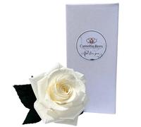 Papel rosa aniversario regalo, único largo Storm, papel de rosas, hecho a mano crepé papel flor, Blanco