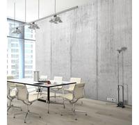Papel Tapiz Concreto Gris Consalnet Mural 368x254 cm Foto Rollo