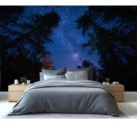 Papel tapiz de cielo nocturno con bosque de la Vía Láctea, cosmos estrellado a través de árboles altos, mural de pared extraíble y autoadhesivo para dormitorio y sala de estar. 300x210cm