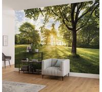 Papel Tapiz De Día Soleado Verde Naturaleza Campo 368x254cm Con Adhesivo