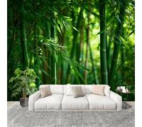 Papel Tapiz Fotográfico 350x256 cm Alta DefinicióN Bosque de Bambú Paisaje Papel Pintado Panorámico Decoración De Pared Sala Cuarto Adulto Habitación de Niños Verde Grandes Paredes Póster