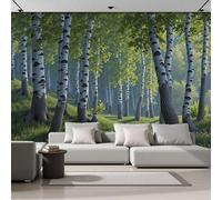 Papel Tapiz Fotográfico 3D Calcomanías De Pared,Sol Se Filtra Entre Hojas Cae Sobre Hierba Sala De Estar Tv Fondo Mural,Bosque Abedules Realista Papel Tapiz 3D Decoración Dormitorio Mural-150 × 105 Cm
