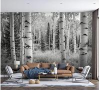 Papel Tapiz Fotográfico 3D La Textura De Un Imponente Bosque De Abedules 250 × 175 cm Papel Pintado Panorámico, Paisaje Natural Murales Decoración Pared Moderna para Salón, Oficina,En Blanco Y Negro
