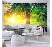 Papel Tapiz Fotográfico 3D Paisaje De Amanecer Otoñal Bajo Grandes Árboles Papel Pintado Panorámico,Murales Decoración Pared Para Cuarto De Niño,Salón,Oficina-200X140Cm