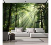 Papel Tapiz Fotográfico 3D Paisaje Forestal 400Anx280Al cm Papel Pintado Panorámico, Natural De Beams Murales Decoración Pared Moderna para Cuarto de Niño, Salón, Oficina
