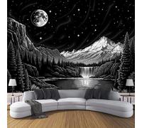 Papel Tapiz Fotográfico 3D Pintura Paisaje 300x210cm Mural de Papel Pintado Panorámico Cascada Bosque Cielo Nocturno Cuadros Fotos Pared Decoración Pared para Habitacion, Salón, Oficina, Blanco Negro