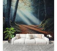Papel Tapiz Fotográfico 400x280cm Hojas CaíDas En El Camino jungleal 3D Murales Póster Moderna Fotomurales De Color Claro Para Cuarto de Niño Salón Dormitorio Oficina Decorar