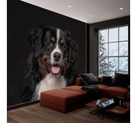 Papel Tapiz Fotográfico Animales Perros Negro 250x175 cm 3D Papel Pintado Panorámico, Fuera de la Ventana Murales Decoración Pared para Cuarto de Niño Salón Oficina