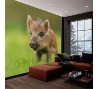 Papel Tapiz Fotográfico Animales Salvajes Jabalíes Pastizales Verde 350x245 cm 3D Papel Pintado Panorámico, Fuera de la Ventana Murales Decoración Pared para Cuarto de Niño Salón Oficina