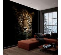 Papel Tapiz Fotográfico Animales Un Leopardo En La Oscuridad Negro 368x254 cm 3D Papel Pintado Panorámico, Fuera de la Ventana Murales Decoración Pared para Cuarto de Niño Salón Oficina