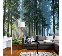 Papel Tapiz Fotográfico Estilo de filtro de luz solar La luz del sol brilla a través de los árboles Verde oscuro 300x210cm 3D Papel Pintado Panorámico, Fuera de la Ventana Murales Decoración Pared