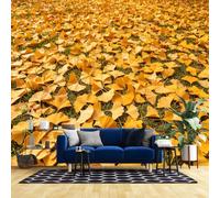 Papel Tapiz Fotográfico Hoja De Ginkgo Mural De Pared Para Sala De Estar Y Dormitorio 500 Cm X 350 Cm (Ancho X Alto) Papel Tapiz No Tejido Arte Moderno Paisaje Natural Tapiz Panorámico De Pared De