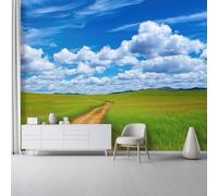 Papel Tapiz Fotográfico Naturaleza Cielo Pradera Camino - 250 x 175 cm Papel Pintado Panorámico para Salón Oficina Decoración, Azul Verde Papel Pintado no tejido Murales Decoración De Pared