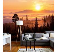 Papel Tapiz Fotográfico Paisaje natural Bosque Nuboso del Sol Color naranja 300x210cm 3D Papel Pintado Panorámico, Fuera de la Ventana Murales Decoración Pared para Cuarto de Niño Salón Oficina