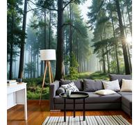 Papel Tapiz Fotográfico Paisaje natural Vista matutina del bosque con pinos Verde 350x256cm 3D Papel Pintado Panorámico, Fuera de la Ventana Murales Decoración Pared para Cuarto de Niño Salón Oficina