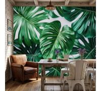 Papel tapiz hojas de plantas tropicales deliciosa en el bosque tropical húmedo 368x254cm Papel Pintado Mural Grande TNT Decoración Salón/Dormitorio De Pared Sala Cuarto Oficina Salón,verde oscuro