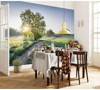 Papel Tapiz Komar Verde Mural Pared Naturaleza 12x8 ft Adhesivo