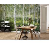 Papel Tapiz Mural Pared XXL Komar Bosque Verde 12x8.3 ft 254x368 cm