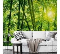 Papel Tapiz Mural Verde BAMBOO JUNGLE Bosque Natural 366x254 cm
