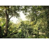 Papel Tapiz No Tejido Selva Tropical Mural De Dormitorio Verde Brillante