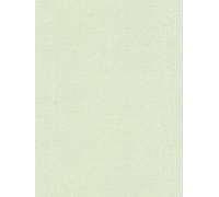 Papel Tapiz Pastel Verde Claro Con Patrón Texturizado