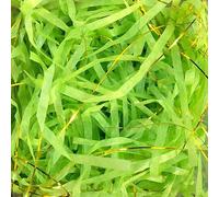 Papel triturado para cajas de regalo, Papel de seda triturado, arrugado, metalizado y brillante, multicolor, 50 g-100 g, paquete 2-4(Grass Green Golden,100g*2Pack)