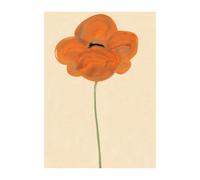 Paper Collective Lámina Orange Vallmo 50x70 cm