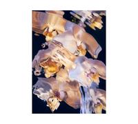 Paper Collective Póster Flora Aquatica 01 70x100 cm