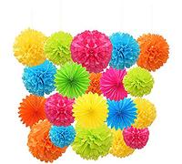 Paper Pom Poms Color Tissue Flowers Hanging Paper Fans Celebration Wedding Birthday Party Halloween Christmas Outdoor Decoration-Set of 20