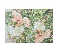 Paperblanks Carpeta de documentos Bindweed Fairy (Flower Fairies) con cierre envolvente