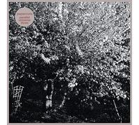 Papercuts - Parallel Universe Blues [Vinilo]