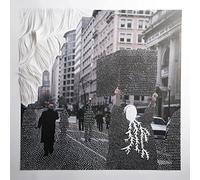 Paperhaus - Are These The Questions That We Need To Ask? [Vinilo]