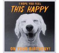 Paperlink Divertida tarjeta de cumpleaños para hombres/niños, tarjeta de humor general masculino, Hope You Feel This Happy, perro labrador sonriente, ecológica y reciclable, fabricada en Inglaterra
