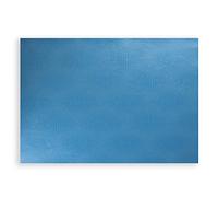 Papermat Manteles Individuales Desechables de 35 x 50 cm, Color Azul, FSC Paper 95 Gramos, 12 Unidades