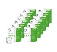 Papernet 411170 Paquete Simple Papel Higiénico Bio Tech- 48 rollos (12 paquetes)