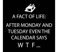 Paperproducts Design 7767 After Monday and Martes, Even the Calendar Says W.T.F - Servilleta de cóctel, color negro