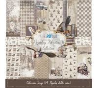 Papers For You - Colección 14 Papeles Scrap doble cara 180gr 12''x12'' (Wizarding I)