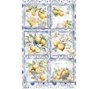 Papers For You Papel Arroz 54x33 cm 25-30 gr. FRUITS MARKET (Lemon III)