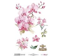 Papers For You - Thermo Transfer Textil A4 20x30 cm - 1 Hoja - Transfer para Tela, Scrap, Papel de Arroz y Manualidades - Aplicación con Plancha o Prensa (Pink Orchids)