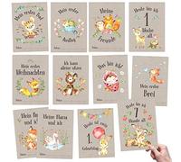 Papierdrachen 32 tarjetas de hitos para bebés y niños pequeños - para niños y niñas - Animales del bosque - Idea de regalo para nacimiento, baby shower o bautizo - Milestone Cards