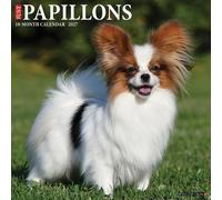 Papillons 2027 Wall