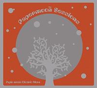 Papir Meets Electric Moon - The Papermoon Sessions Live At Roadburn 2014