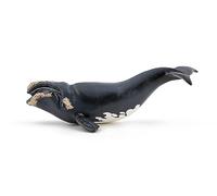 Papo Ballena Franca