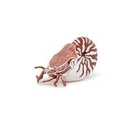 Papo Nautilus 56061 Mundo Marino – Adecuado para niños y niñas a partir de 3 años