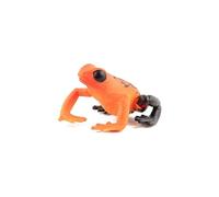 Papo - Figura de Rana Venenosa Roja Realista - 3 Años + - Colección Vida Salvaje - Juego Educativo Anfibios Exóticos - Idea de Regalo Juguete para Niña y Niño